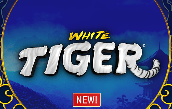 White Tiger slots- new